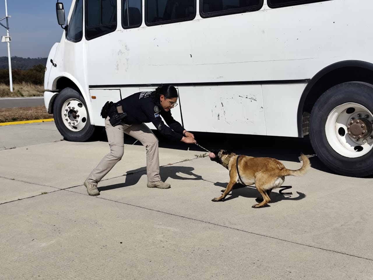 Participa la Secretaría de Seguridad Ciudadana en el 'Tercer Encuentro de Unidades Caninas'